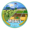 moali-logo